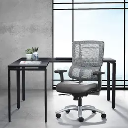 Mesh Task Chair with Lumbar Support - Pro Line II