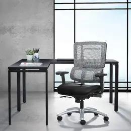 Mesh Task Chair with Lumbar Support - Pro Line II