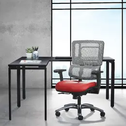 Tall Ergonomic Office Chair - Pro Line II