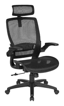 Ergonomic Desk Chair - Pro-Line II