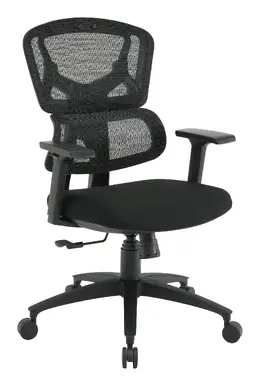 Ergonomic Desk Chair - Pro-Line II