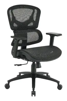 Ergonomic Desk Chair - Pro-Line II