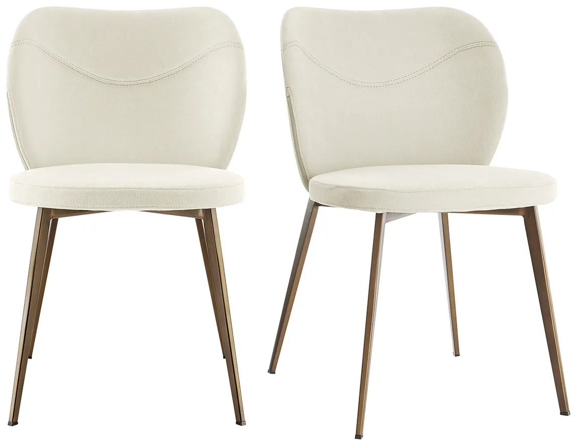 Contemporary Chair - Set of 2