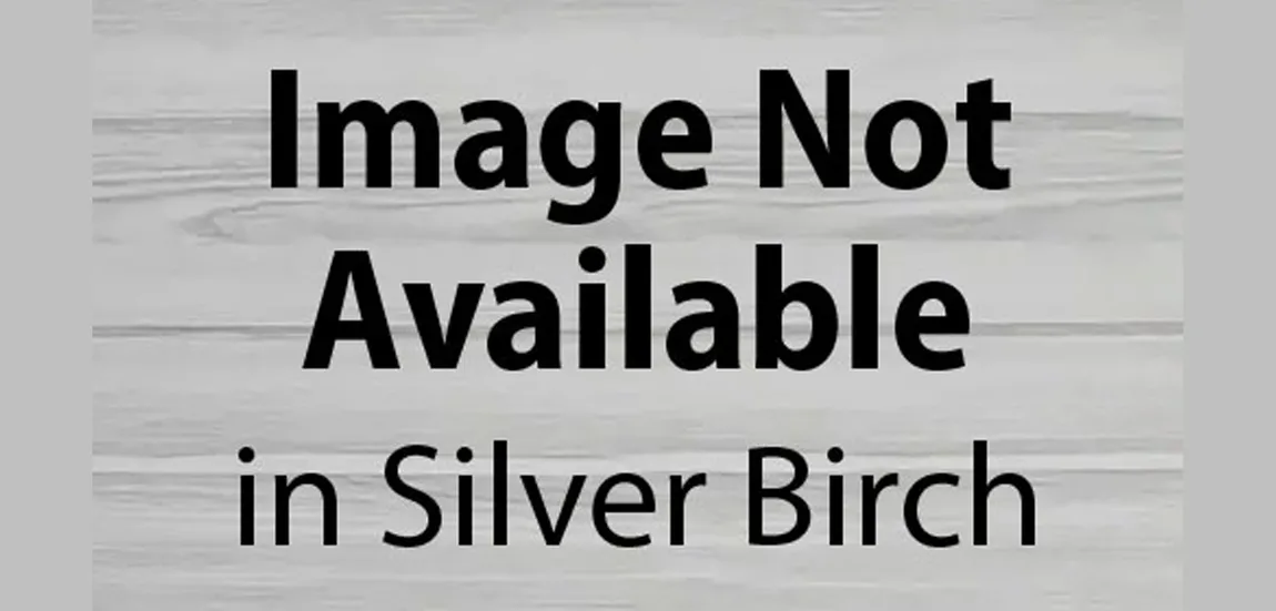 Double Storage Cabinet Credenza