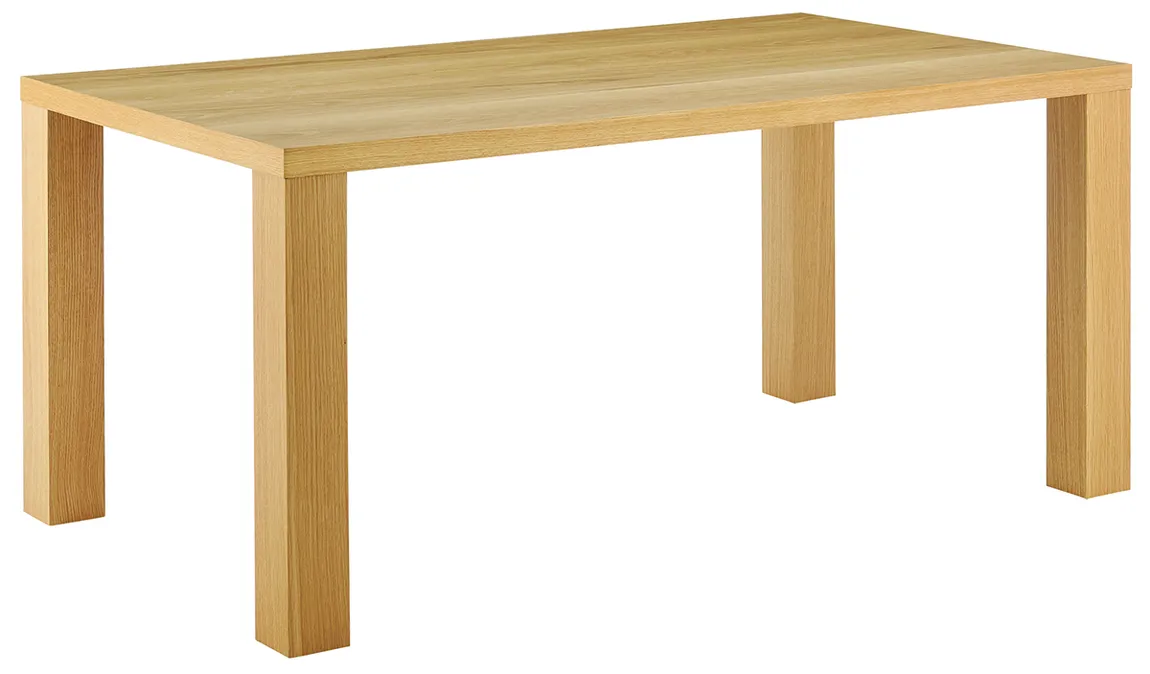 Modern Minimalist Large Table
