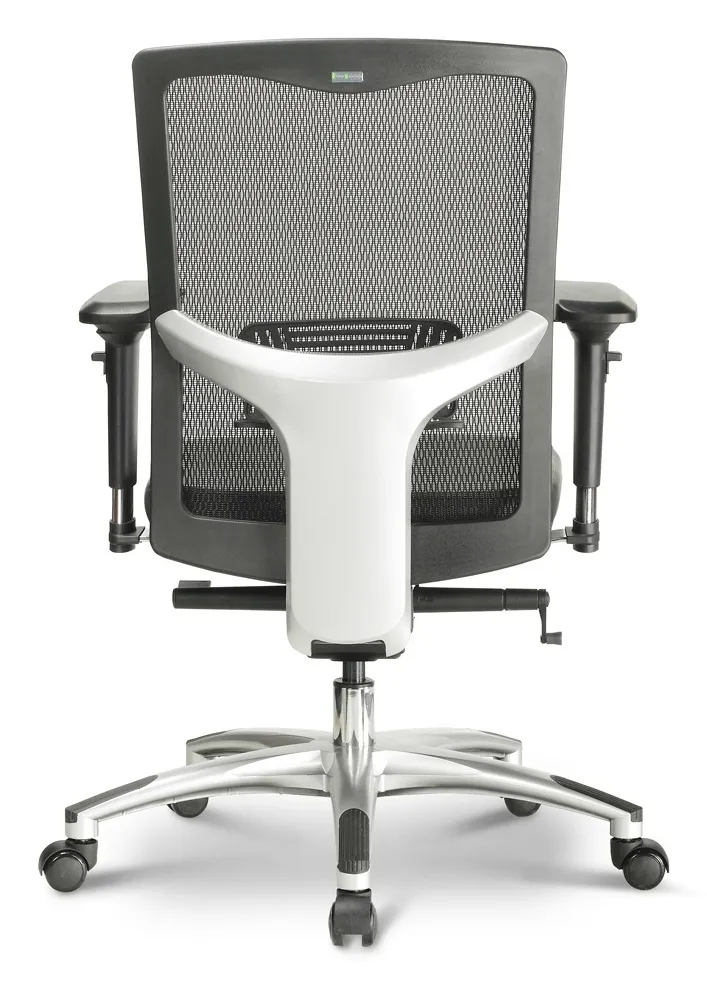 Mesh Back Task Chair with Lumbar Support