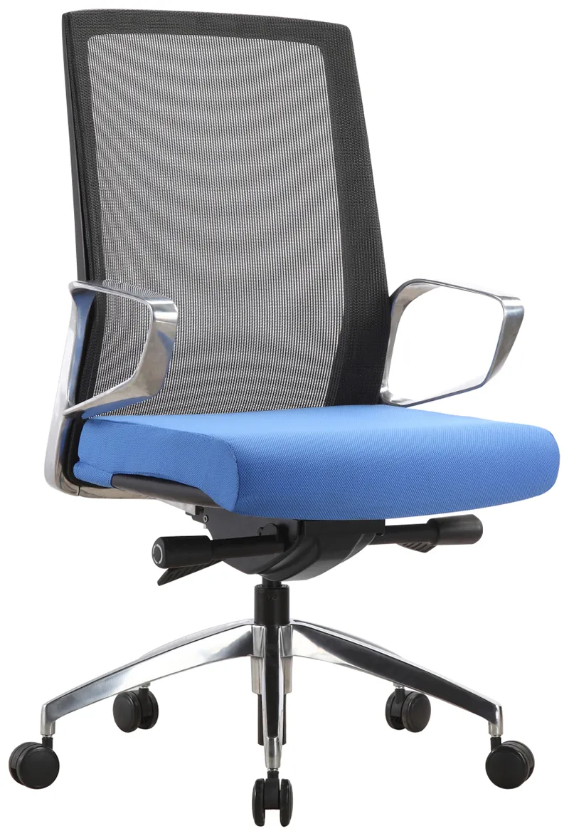Executive Task Chair with Blue Seat Cover