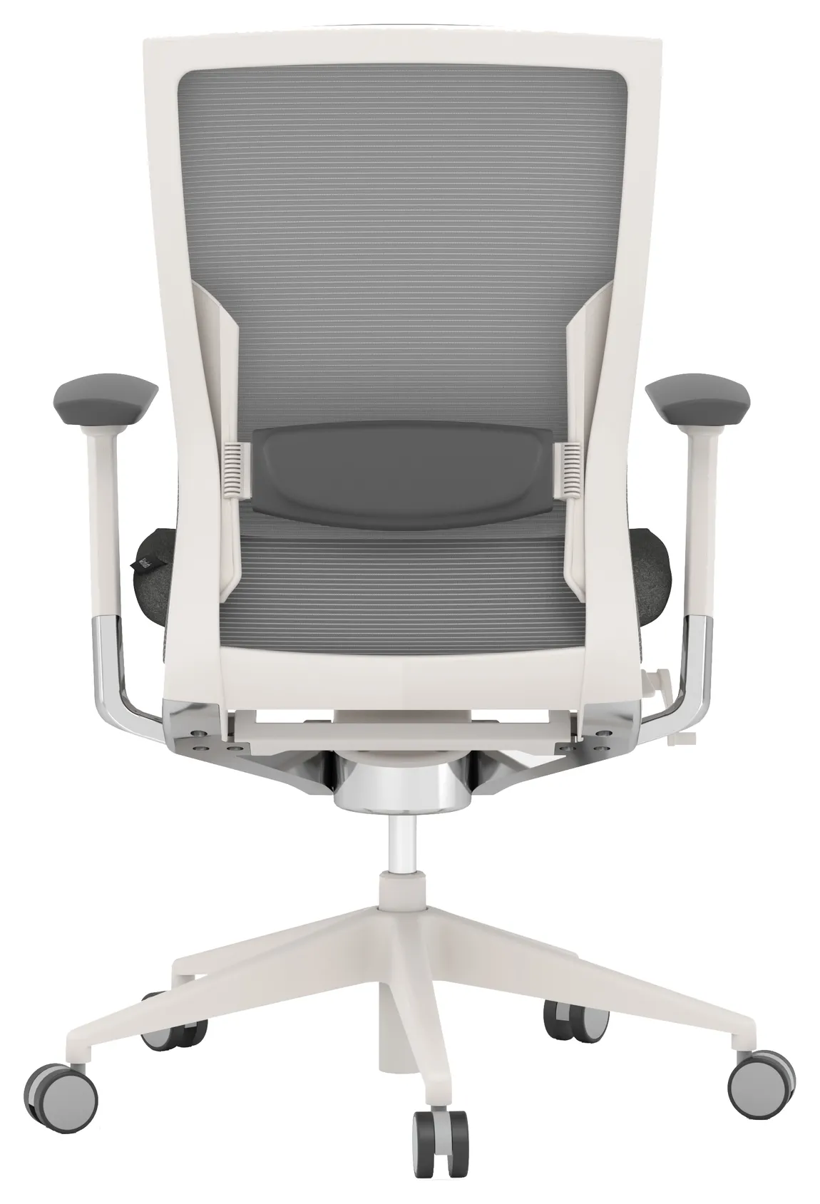Ergonomic Office Chair