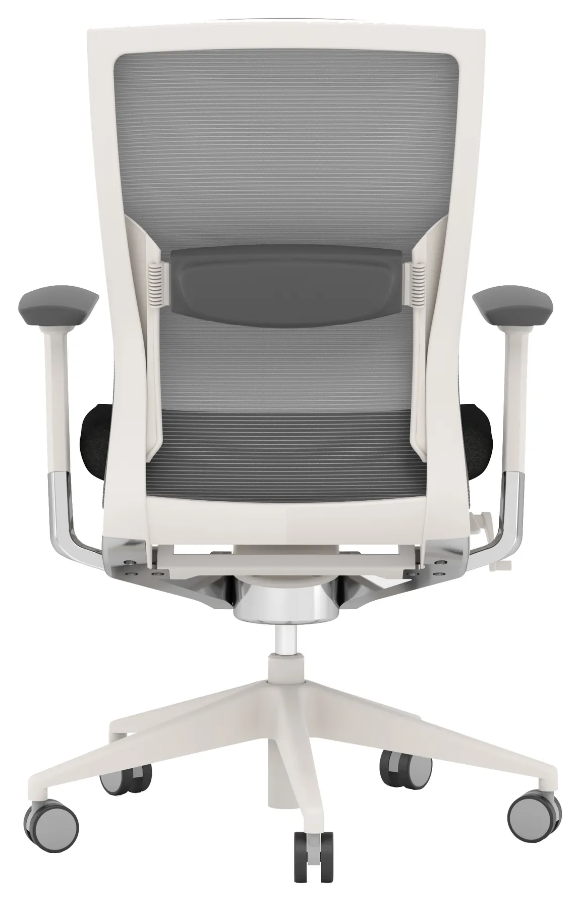 Ergonomic Office Chair