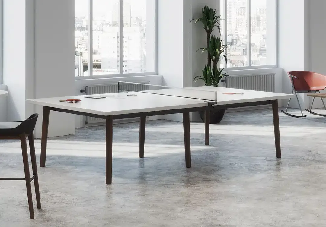 Ping Pong Table