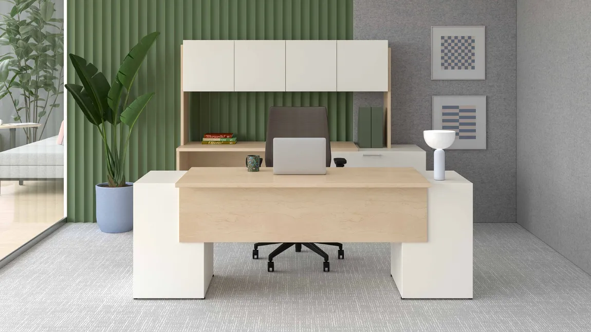 Rectangular Desk and Credenza Set