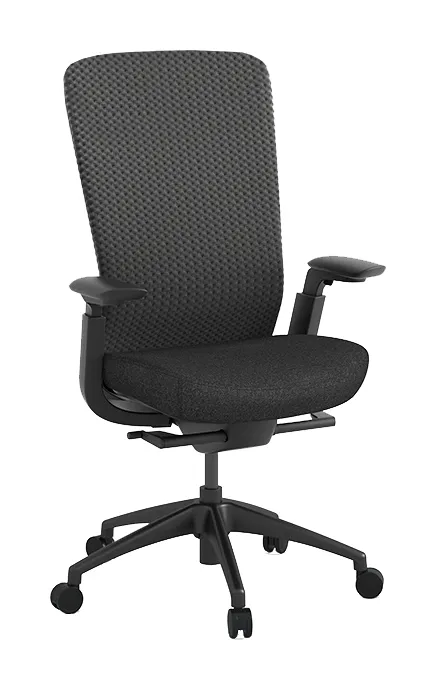 Ergonomic Desk Chair