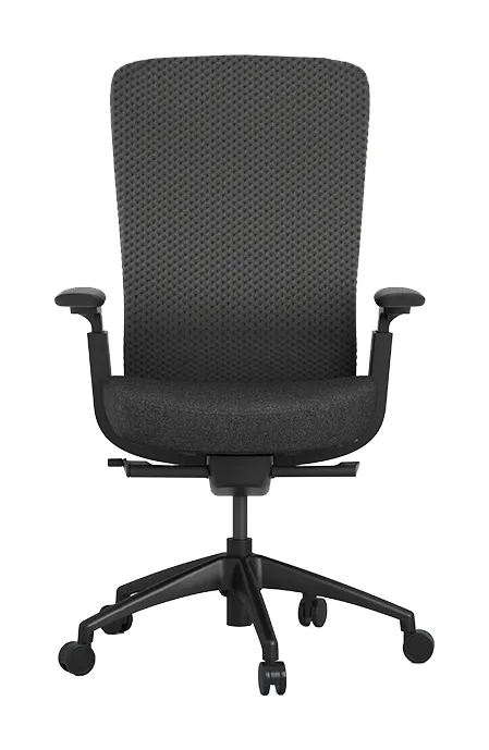 Ergonomic Desk Chair
