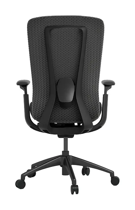 Ergonomic Desk Chair