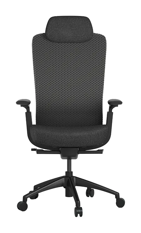 Ergonomic Desk Chair