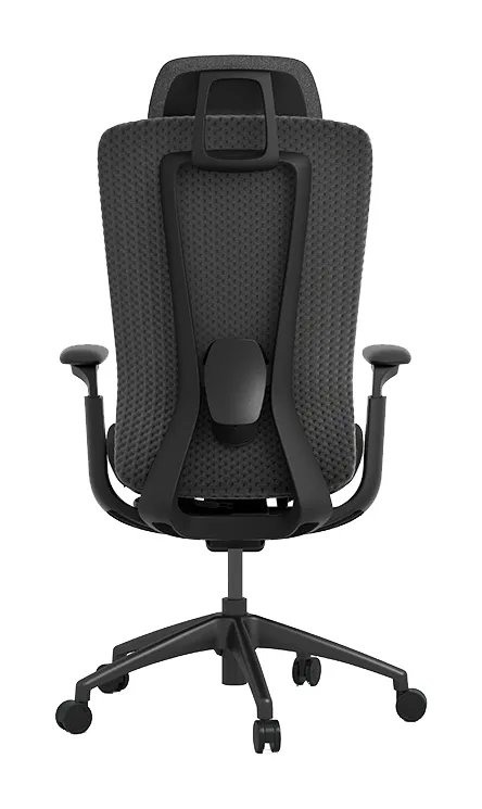 Ergonomic Desk Chair