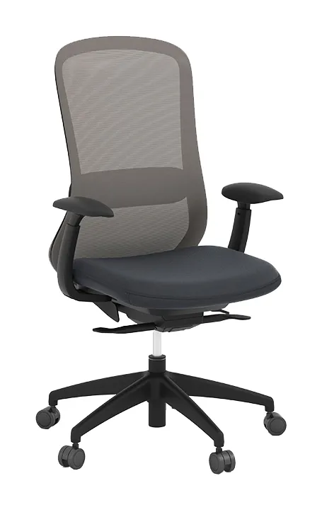 Ergonomic Task Chair
