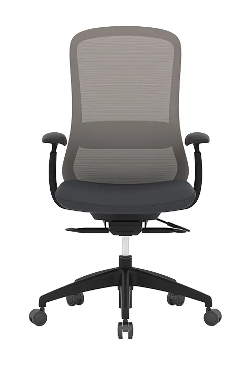 Ergonomic Task Chair