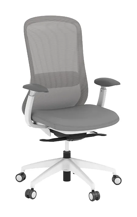 Ergonomic Task Chair