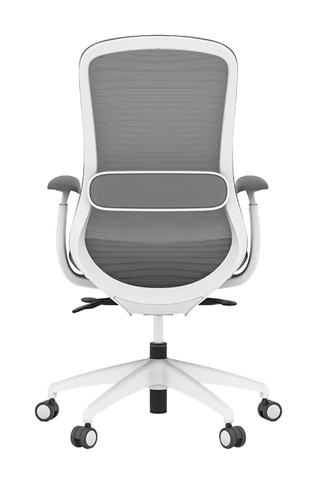Ergonomic Task Chair