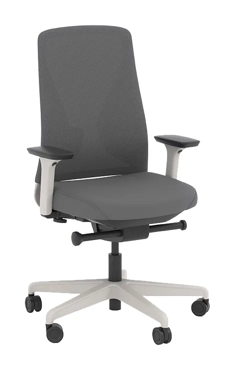Ergonomic Office Chair