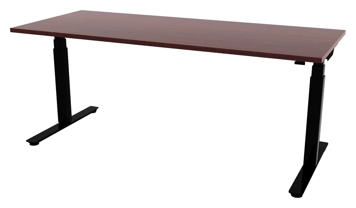 Electric Sit Stand Desk