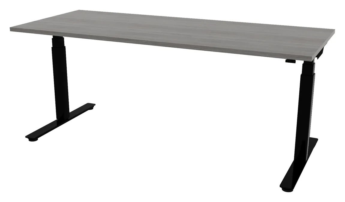 Electric Sit Stand Desk