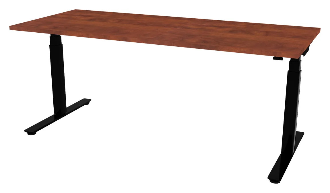 Electric Sit Stand Desk