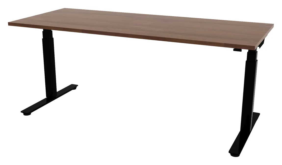 Electric Sit Stand Desk