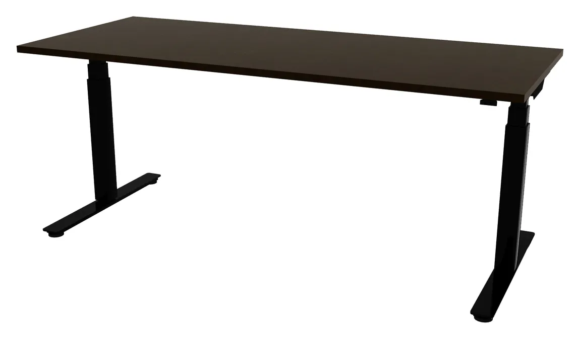 Electric Sit Stand Desk