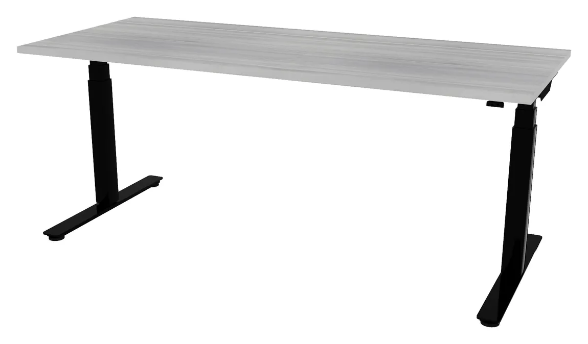 Electric Sit Stand Desk