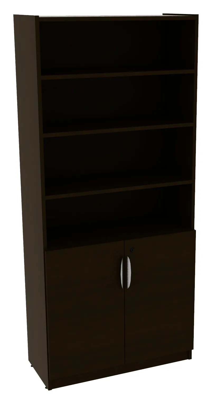 Bookcase with Locking Doors