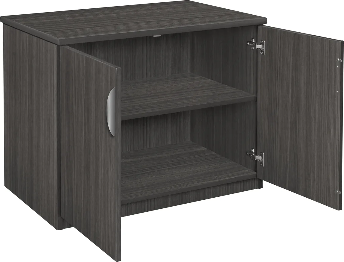 Storage Cabinet with Doors