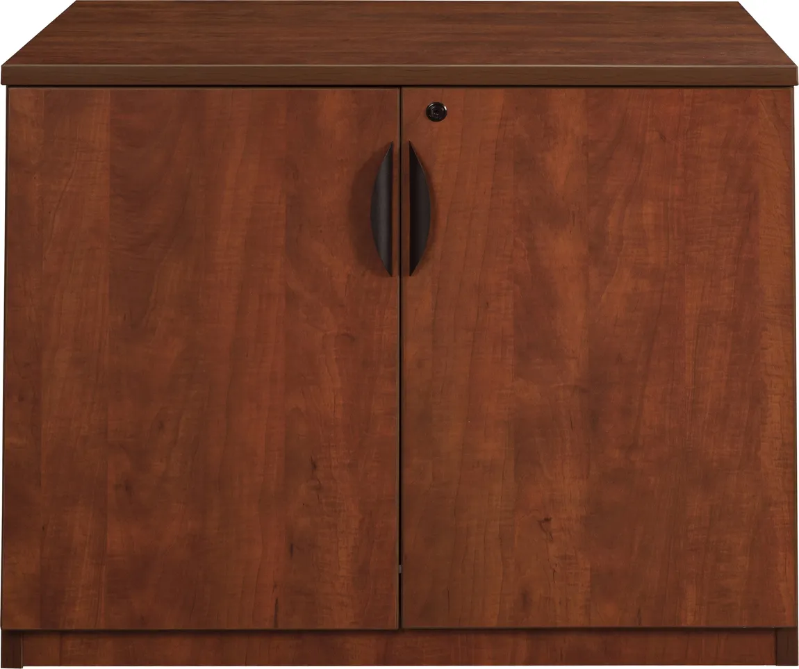 Storage Cabinet with Doors