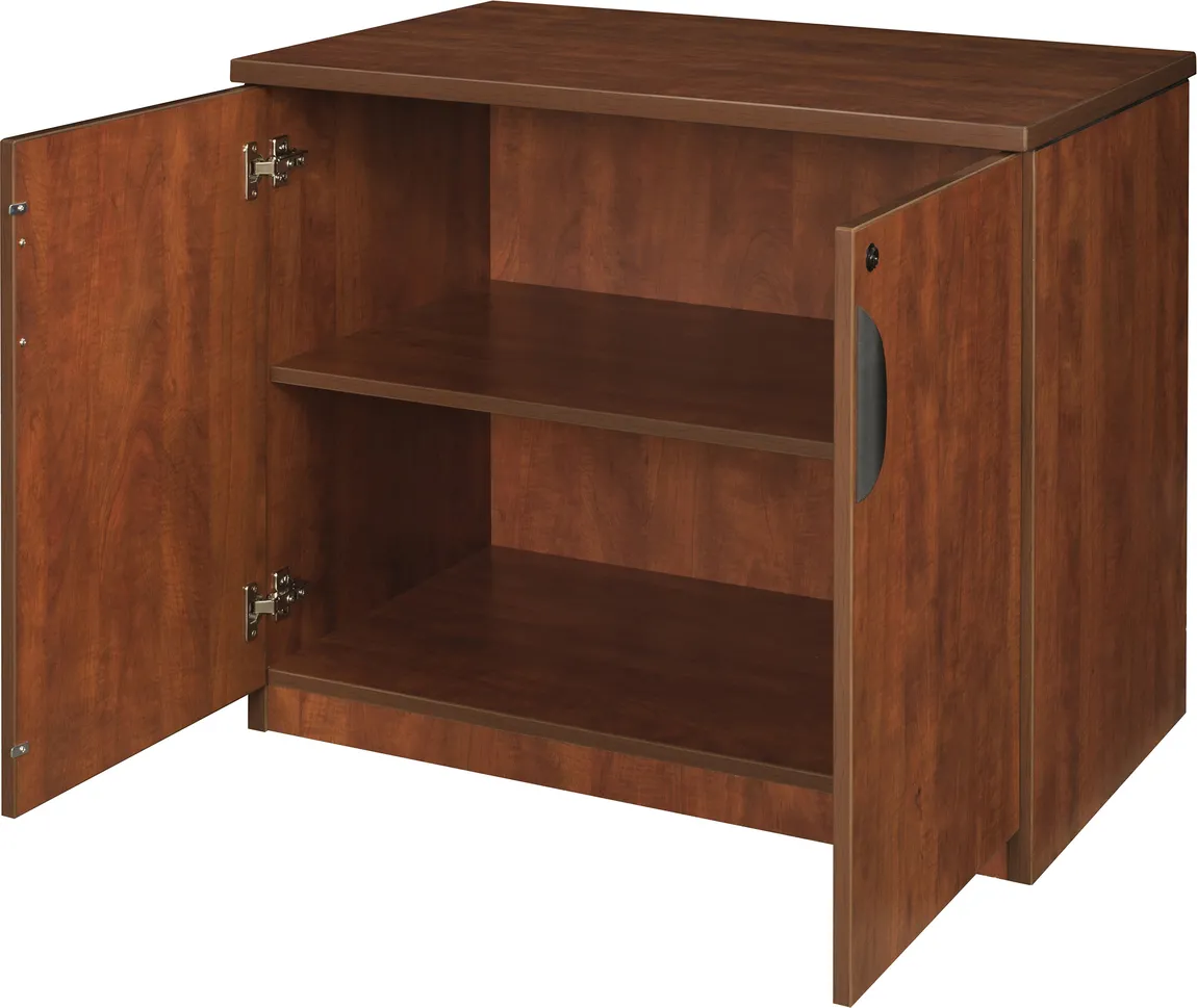 Storage Cabinet with Doors