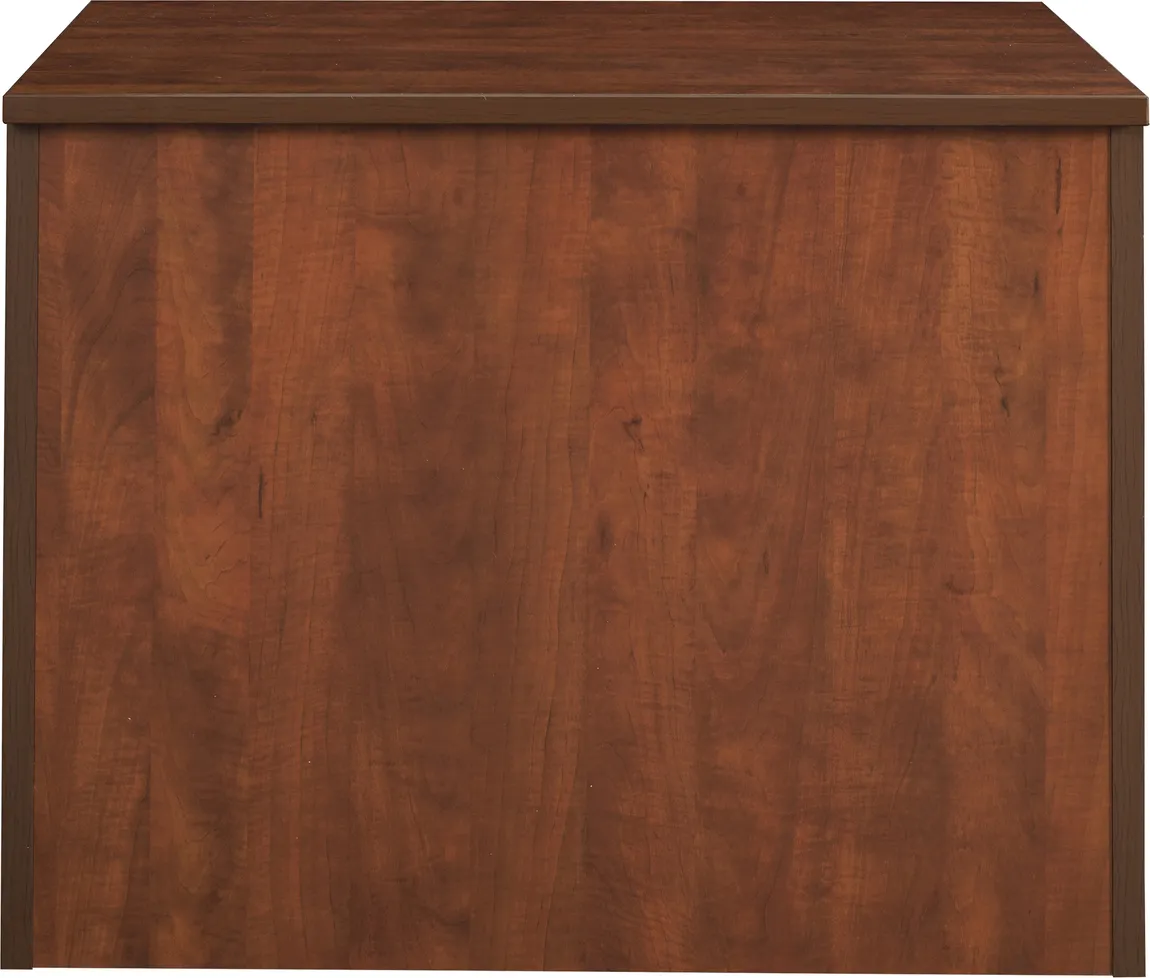 Storage Cabinet with Doors