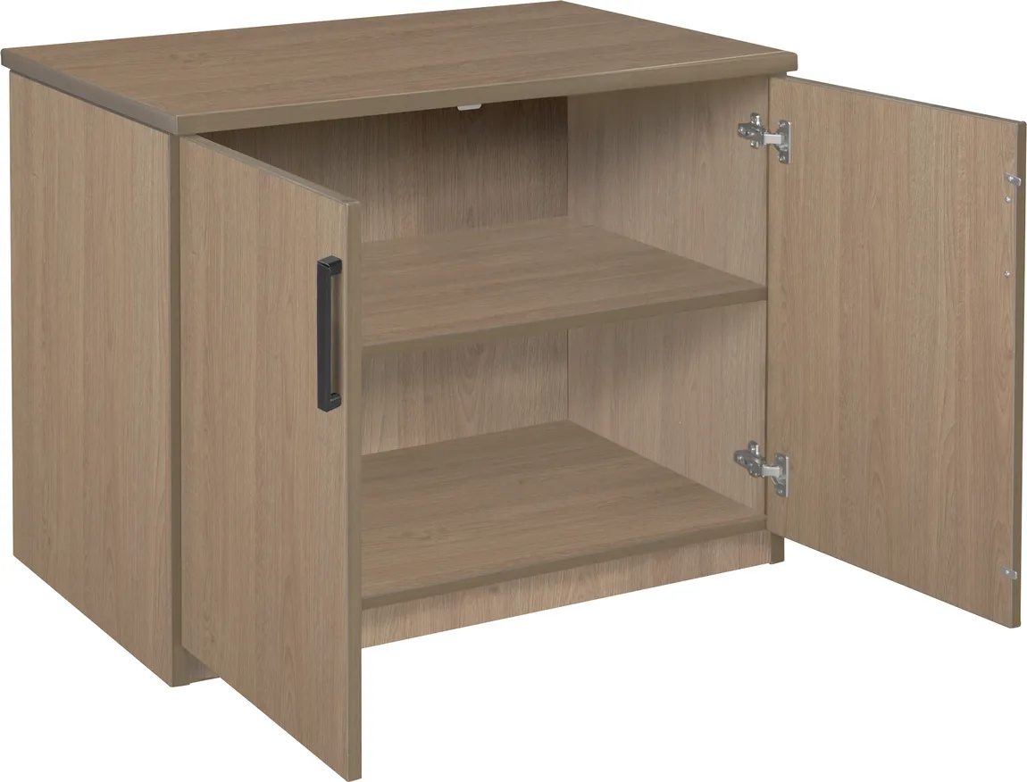 Storage Cabinet with Doors