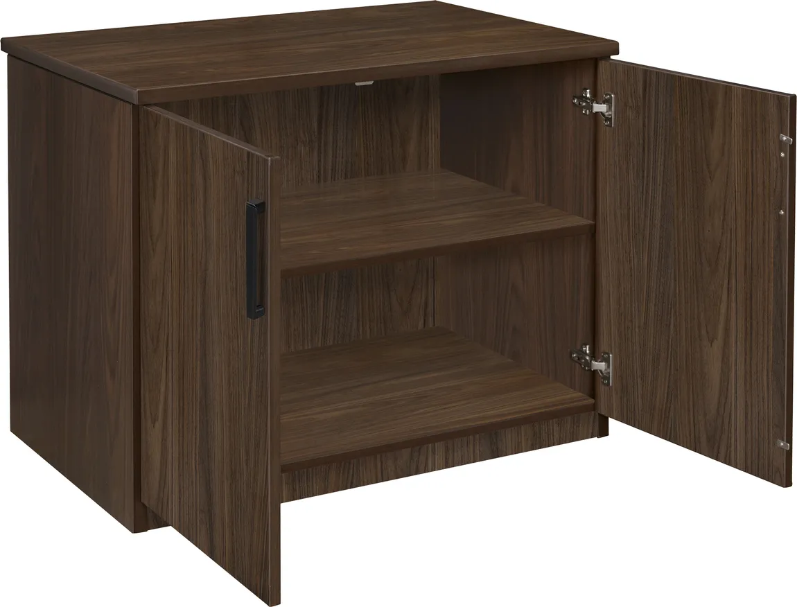Storage Cabinet with Doors