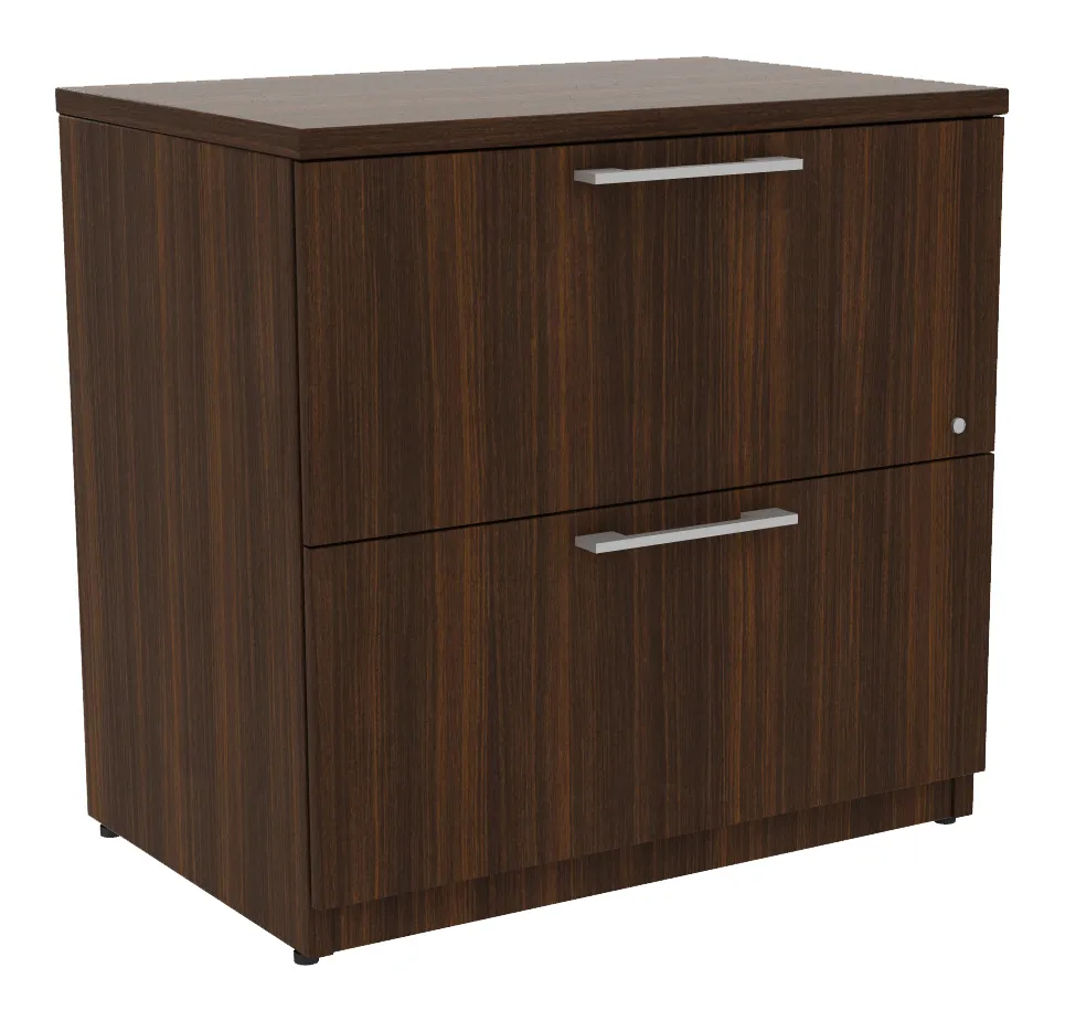 small 2 drawer lateral file cabinet 19