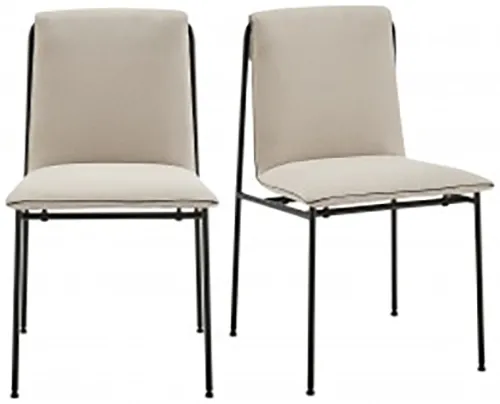 Retro Modern Side Chair - Set of 2