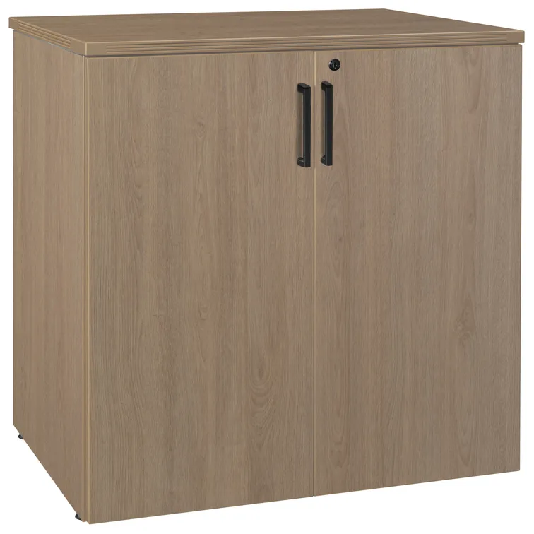 Lockable Storage Cabinet