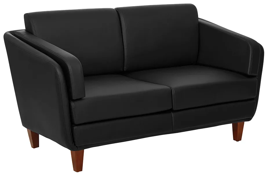 Office Loveseat Couch
