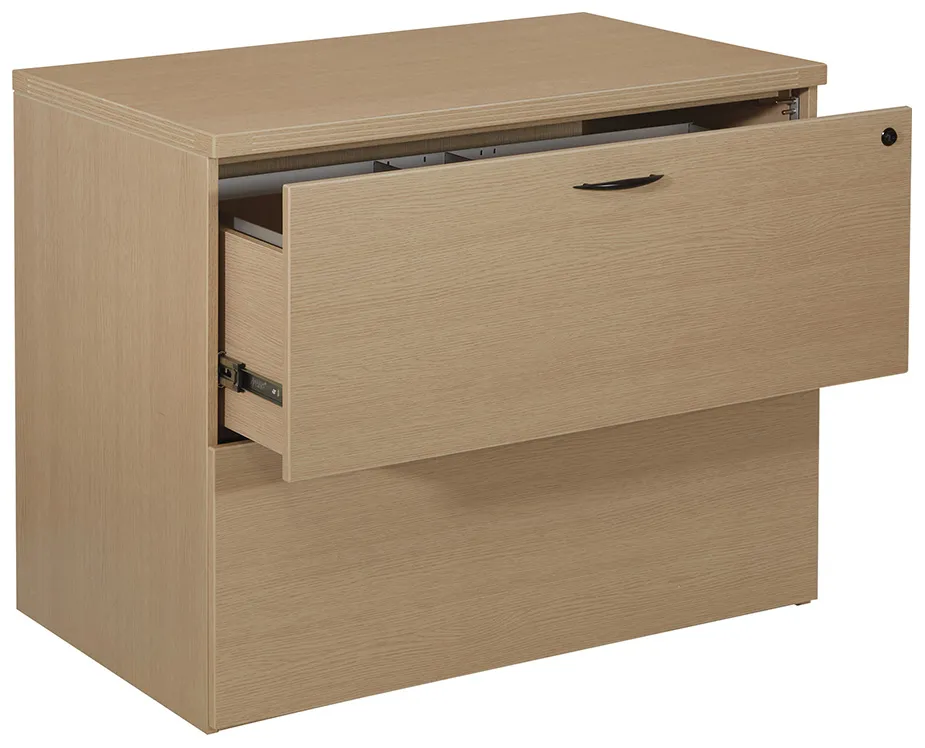 2 Drawer Lateral File Cabinet