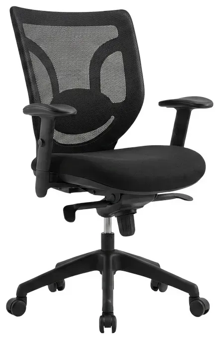 Mesh Back Office Chair with Lumbar Support