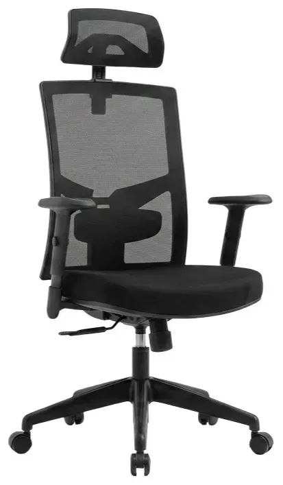 Ergonomic Office Chair with Headrest