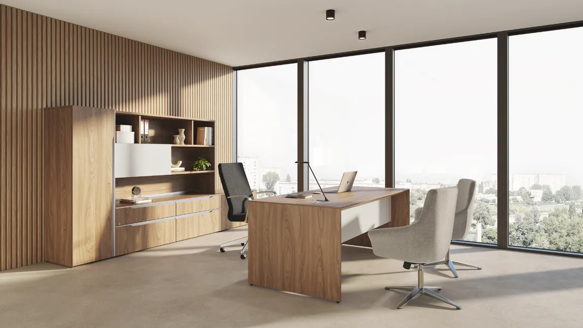 Office Desk with Storage Set