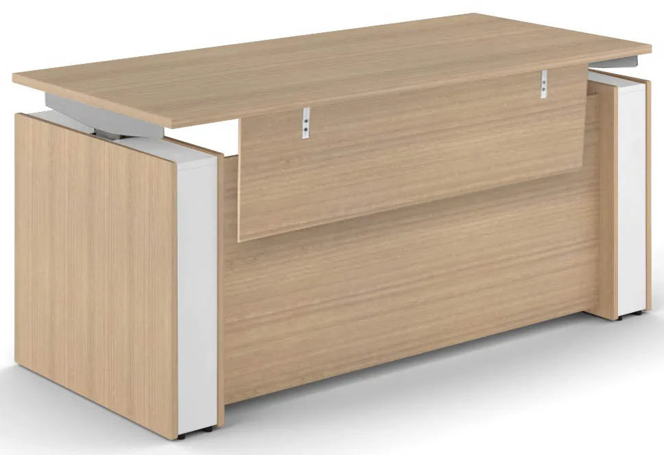 Standing Desk with Modesty Panel