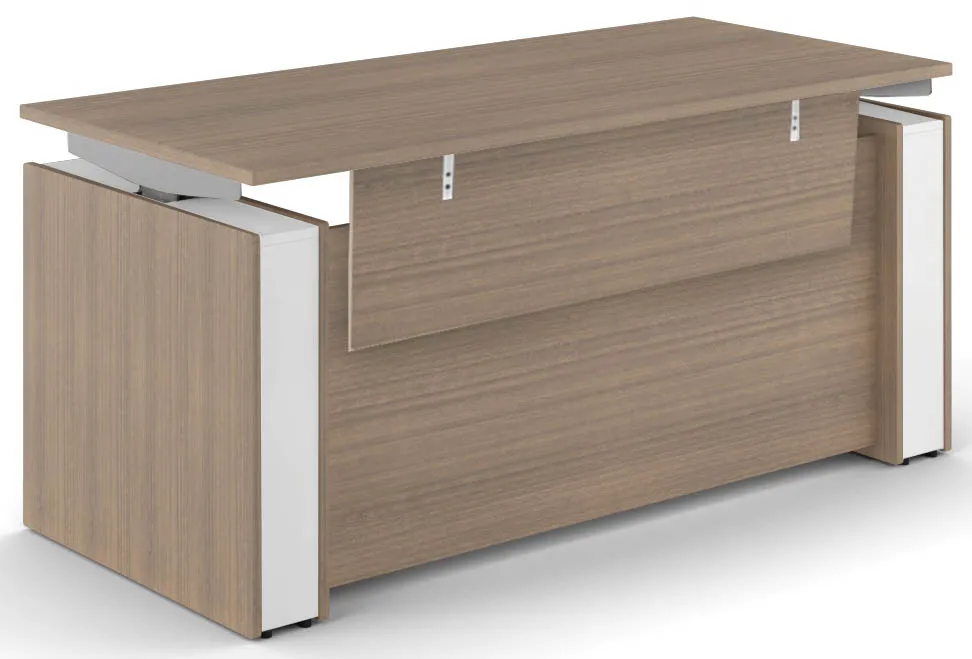 Standing Desk with Modesty Panel