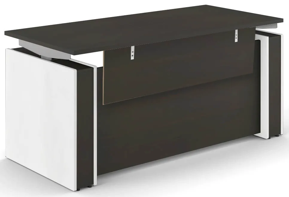 Sit Stand Desk with Modesty Panel