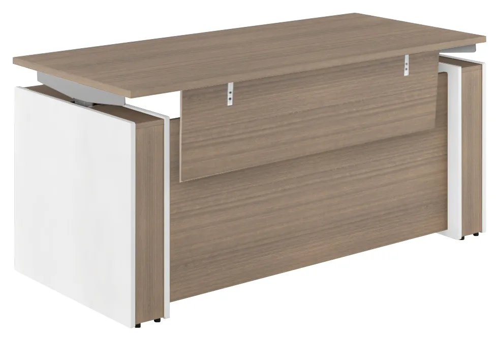 Sit Stand Desk with Modesty Panel